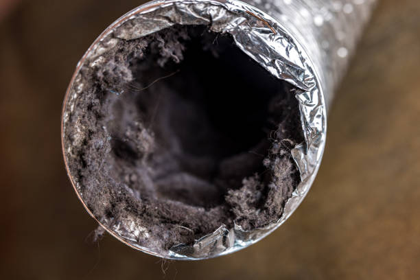 Best Professional Duct Cleaning Services  in New Market, MD